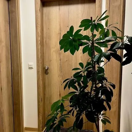 Apartment Fewo Nr 2 Iller Im Allgaeu Mit Balkon Bergblick *